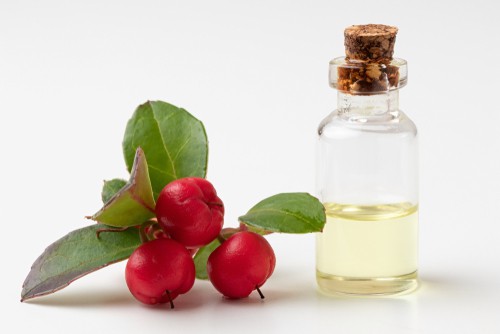 wintergreen berries next to bottle of wintergreen oil